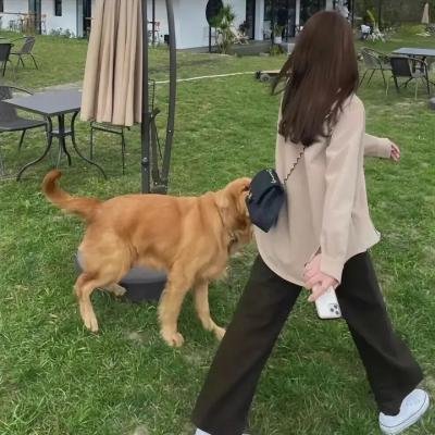 百年宽恕
